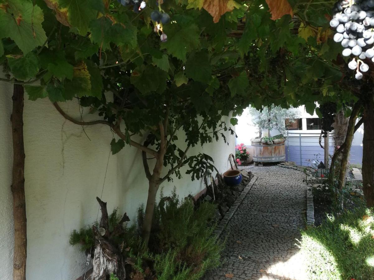 Haus Bienen Panzió Ihringen Kültér fotó